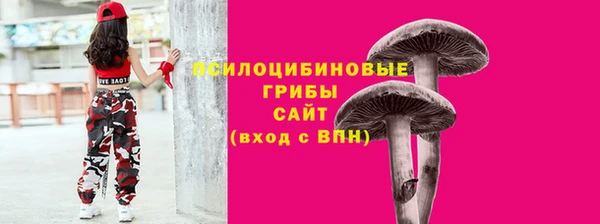 a pvp Алзамай